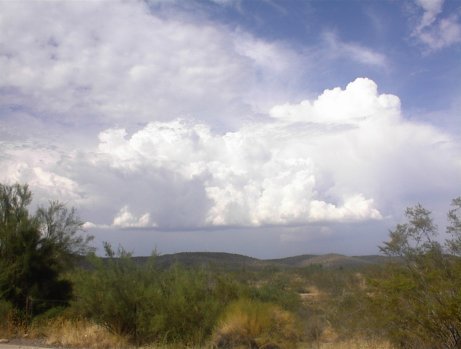 Lower Salt River