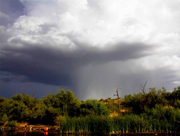 Lower salt river 15