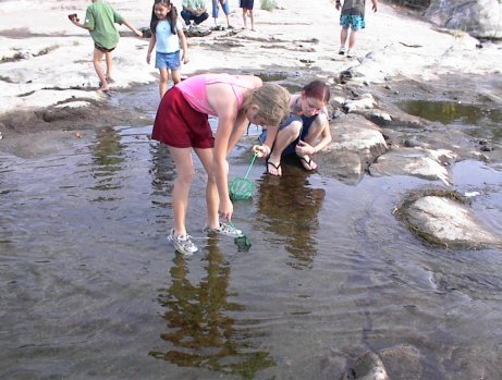Lower salt river 9