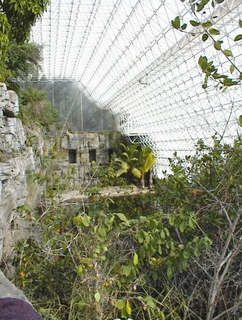 inside biosphere 2