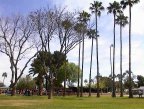 Pioneer Park 1