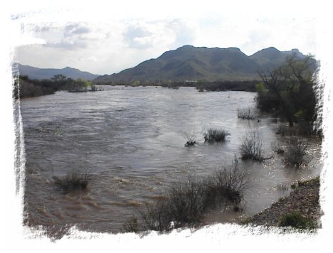 Salt River